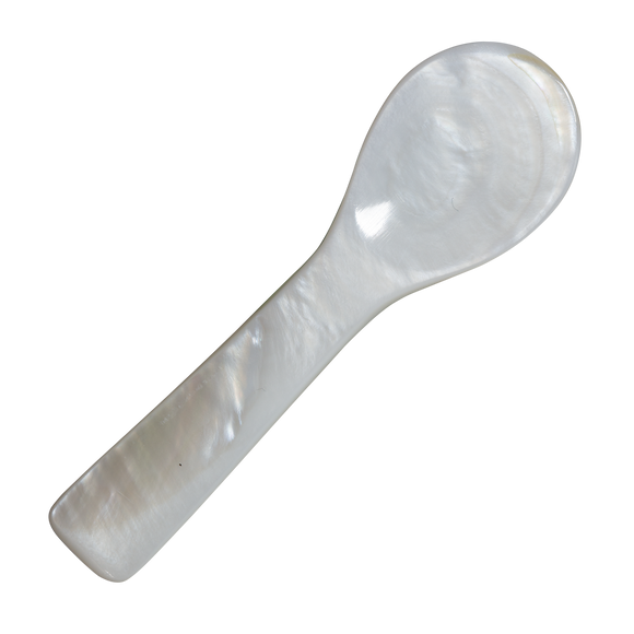 Mother of Pearl Spoon or Spatula
