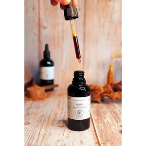 Ayamani REISHI 20:1  Liquid Extract | Alcohol-Free