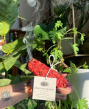 Anima Mundi DRAGON'S BLOOD WAND | With White Sage - Radiant Beauty