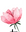 Radiant Beauty logo