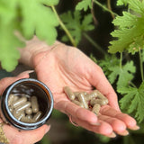 Anima Mundi Parasite Defense | Gut Protection Capsules