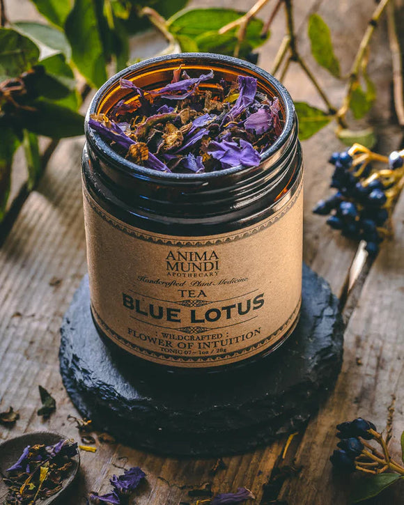 Blauer Lotus - züriCBD.ch